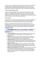 Vincas Mykolaitis Putinas „Altorių Šešėly“: siužetas, veikėjai 3 puslapis