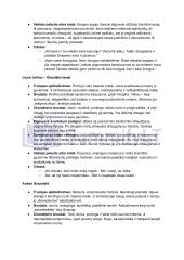 Vincas Mykolaitis Putinas „Altorių Šešėly“: siužetas, veikėjai 4 puslapis