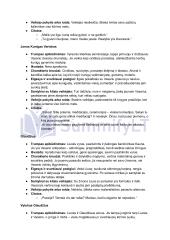 Vincas Mykolaitis Putinas „Altorių Šešėly“: siužetas, veikėjai 6 puslapis