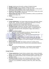 Vincas Mykolaitis Putinas „Altorių Šešėly“: siužetas, veikėjai 7 puslapis