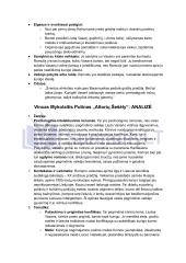 Vincas Mykolaitis Putinas „Altorių Šešėly“: siužetas, veikėjai 8 puslapis