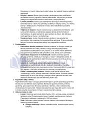 Vincas Mykolaitis Putinas „Altorių Šešėly“: siužetas, veikėjai 9 puslapis