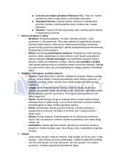 Vincas Mykolaitis Putinas „Altorių Šešėly“: siužetas, veikėjai 10 puslapis