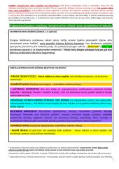 Egzamino rašinio atmintinė - patarimai