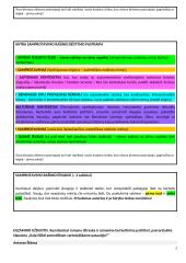 Egzamino rašinio atmintinė - patarimai 2 puslapis