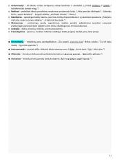 Egzamino rašinio atmintinė - patarimai 11 puslapis