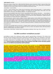 Egzamino rašinio atmintinė - patarimai 3 puslapis