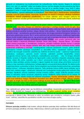 Egzamino rašinio atmintinė - patarimai 4 puslapis