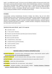 Egzamino rašinio atmintinė - patarimai 9 puslapis