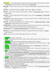 Egzamino rašinio atmintinė - patarimai 10 puslapis