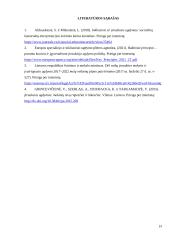 Simbolinio žaidimo įtaka 4 metų vaikų raidai 18 puslapis