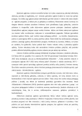 Simbolinio žaidimo įtaka 4 metų vaikų raidai 2 puslapis