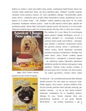 Teksto ir vaizdo dermė gyvūnų ėdalo reklamose 17 puslapis