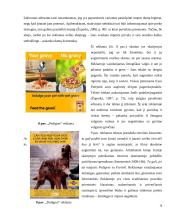 Teksto ir vaizdo dermė gyvūnų ėdalo reklamose 18 puslapis