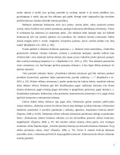 Teksto ir vaizdo dermė gyvūnų ėdalo reklamose 6 puslapis