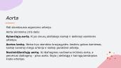 Žmogaus kraujotakos sistema. Skaidrės 20 puslapis