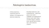 Badavimas, anoreksija ir nutukimas. Vainikinių širdies arterijų ligos. Virškinimo sistemos sutrikimai 7 puslapis