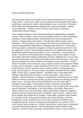Savęs paieškos literatūroje