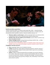 Filmo ,,Mirusiųjų poetų draugija”  analizė pagal mokinių ir mokymosi aplinkos santykio temą 2 puslapis