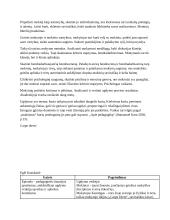 Filmo ,,Mirusiųjų poetų draugija”  analizė pagal mokinių ir mokymosi aplinkos santykio temą 14 puslapis