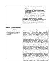 Filmo ,,Mirusiųjų poetų draugija”  analizė pagal mokinių ir mokymosi aplinkos santykio temą 8 puslapis