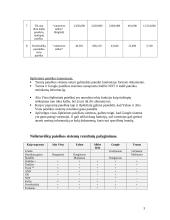 E-komercijos technologijos 3 puslapis