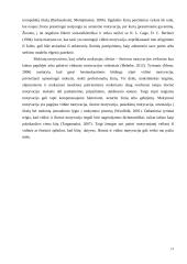 Moksleivių mokymosi motyvacijos vertinimas 13 puslapis