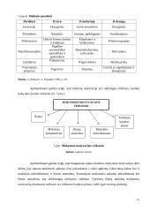Moksleivių mokymosi motyvacijos vertinimas 18 puslapis