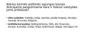 Totaliniai XX a. karai: kodėl jie kilo ir kas juose kovojo? 16 puslapis
