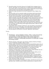 Viljamas Šekspyras ,,Hamletas‘‘. Analizė 2 puslapis