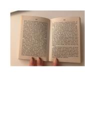 Viljamas Šekspyras ,,Hamletas‘‘. Analizė 11 puslapis