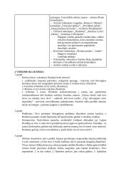 Viljamas Šekspyras ,,Hamletas‘‘. Analizė 17 puslapis