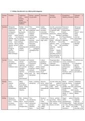 Viljamas Šekspyras ,,Hamletas‘‘. Analizė 19 puslapis