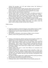 Viljamas Šekspyras ,,Hamletas‘‘. Analizė 7 puslapis