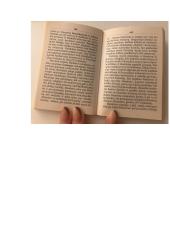 Viljamas Šekspyras ,,Hamletas‘‘. Analizė 10 puslapis