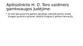Technologija, žmogus ir gamta XIX–XX a. pradžioje 11 puslapis