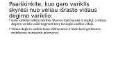 Technologija, žmogus ir gamta XIX–XX a. pradžioje 4 puslapis