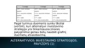 Finansinio modeliavimo esmė 13 puslapis