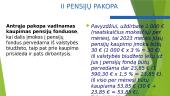 Privatūs pensijų fondai ir pensijų sistema Lietuvoje 13 puslapis