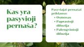 Aktyviosios ir pasyviosios pernašos palyginimas augalų ląstelėse  4 puslapis