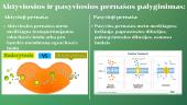 Aktyviosios ir pasyviosios pernašos palyginimas augalų ląstelėse  10 puslapis