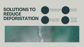 Solutions to the climate crisis 9 puslapis