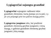 Laidininkų jungimo būdai. Nuoseklus ir lygiagretus jungimai 11 puslapis
