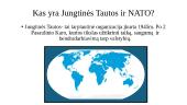 Kaip Jungtinės Tautos ir NATO prisideda prie taikos ir saugumo pasaulyje 2 puslapis