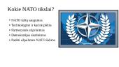Kaip Jungtinės Tautos ir NATO prisideda prie taikos ir saugumo pasaulyje 7 puslapis