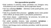 Išteklių ribotumas. Gamybos ištekliai (veiksniai) 5 puslapis