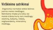 Virškinimo sutrikimai dėl netinkamos mitybos 2 puslapis