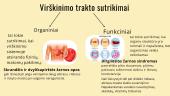 Virškinimo sutrikimai dėl netinkamos mitybos 4 puslapis