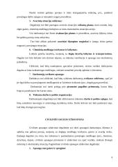 Darbo ir civilinės saugos reikalavimai UAB „Circle K“ Lietuva įmonėje 3 puslapis