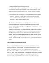 Nukentėjusiojo asmens teisių apsauga, jų įgyvendinimo praktiniai aspektai 3 puslapis